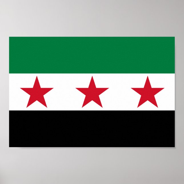 Syrienflagge Poster (Vorne)