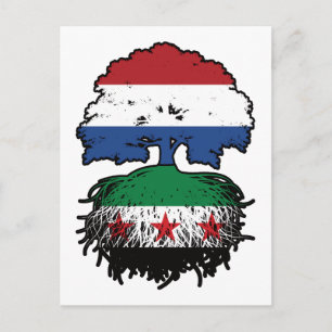 Syrische Niederländische Wurzeln und Kronenbaum Postkarte