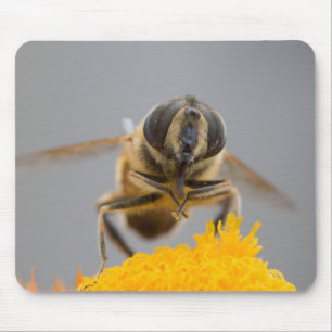Syrphidae Mousepad