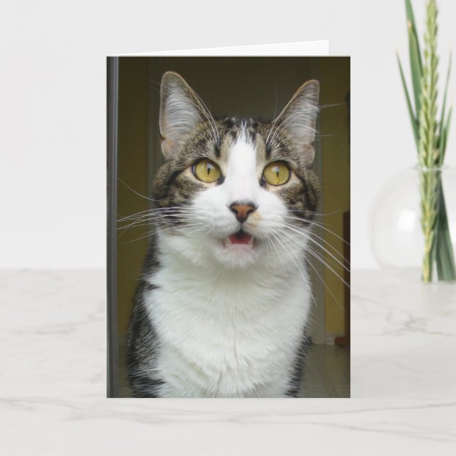 Syrus Shocked Grußkarte 0001 Karte (Vorderseite)