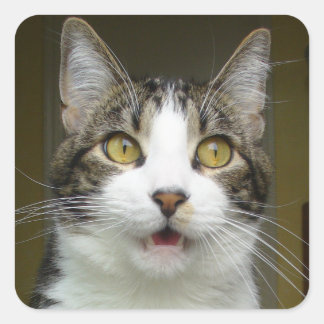 Syrus Shocked Stickers 0001