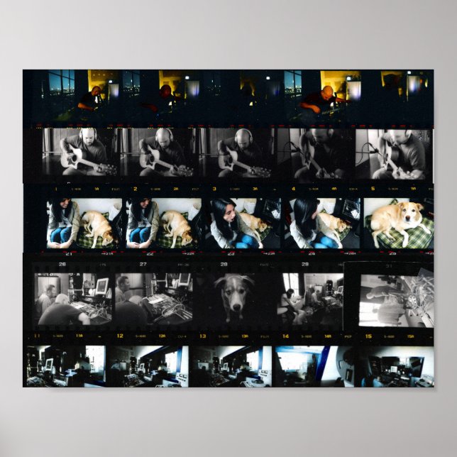 Systematic Chaos 11" x 8.5", Value Poster Paper (Vorne)