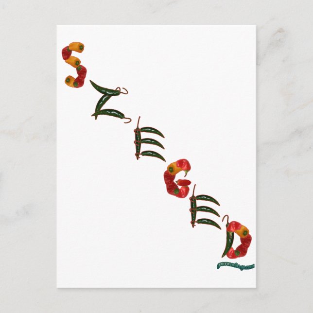 Szeged Chili Paprikaschoten Postkarte (Vorderseite)