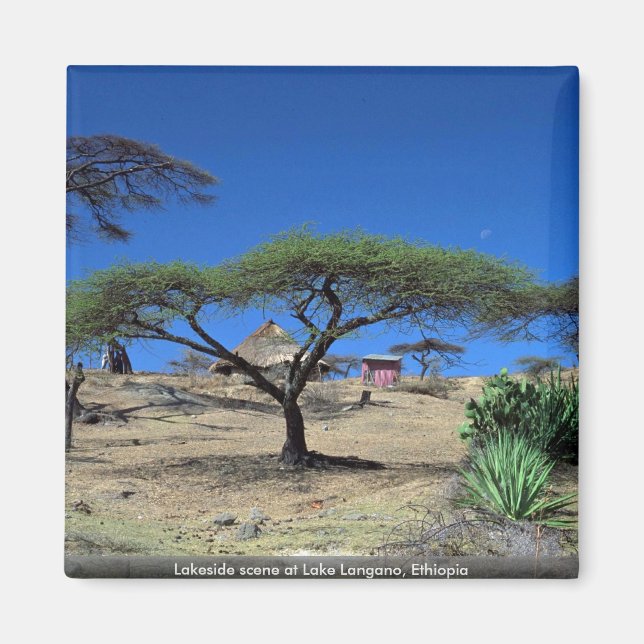 Szene am See am Langanersee, Äthiopien Magnet (Vorne)