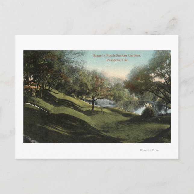 Szene in Busch Sunken Gardens Postkarte (Vorderseite)