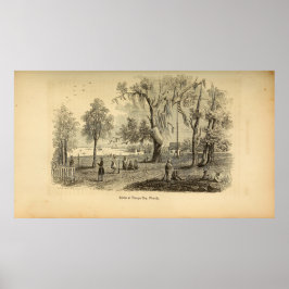 Szene in Tampa Bay Poster