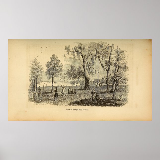 Szene in Tampa Bay Poster (Vorne)