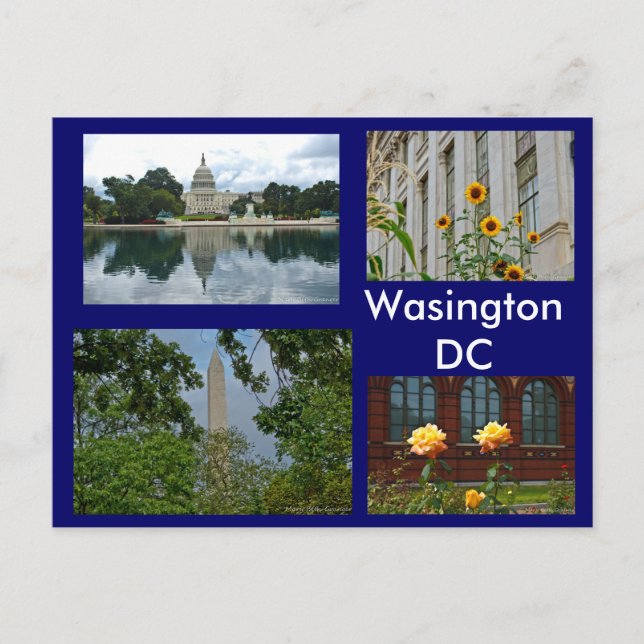 Szenen aus Washington DC Postkarte (Vorderseite)