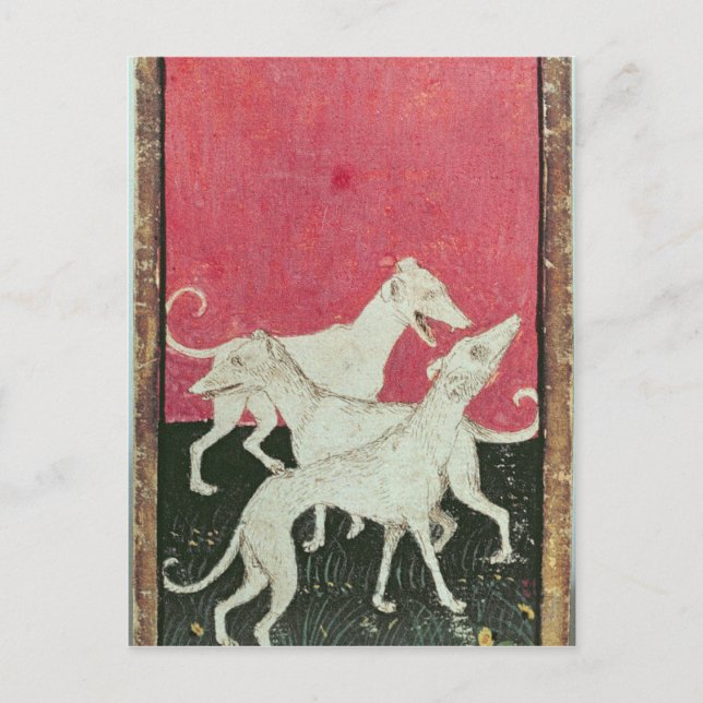 Szenen der höflichen Hasen Postkarte (Vorderseite)