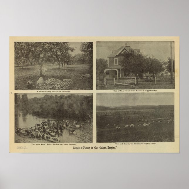 Szenen im Inland Empire Poster (Vorne)