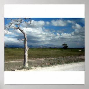 Szenen in Haiti Poster