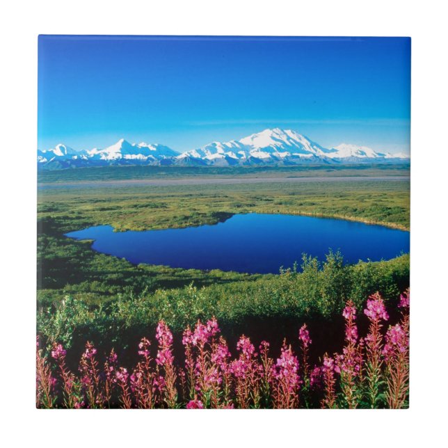 Szenen-Tundra der Mount McKinley Denali Alaska Fliese (Vorderseite)