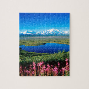 Szenen-Tundra der Mount McKinley Denali Alaska Puzzle