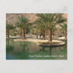 Szenen und Bilder aus dem heiligen Land aus Israel Postkarte