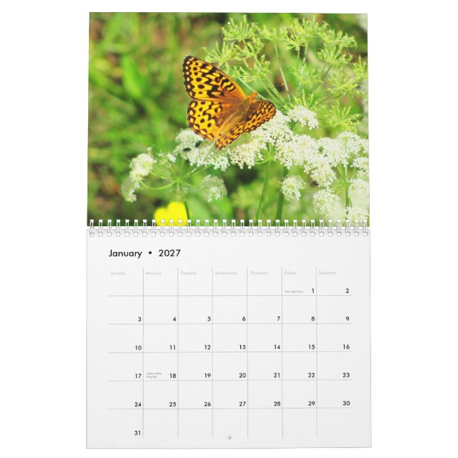 Szenen von einem Blumen-Garten Kalender (Jan 2027)