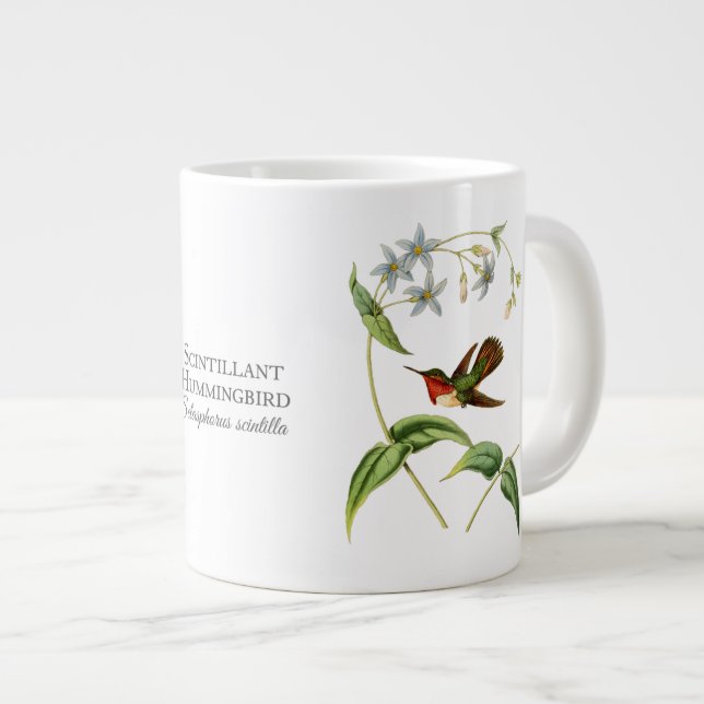 Szintillant Hummingbird Jumbo-Tasse (Vorderseite Rechts)