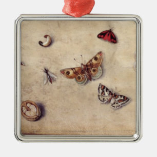 T31566 eine Studie der verschiedenen Insekten, der Silbernes Ornament
