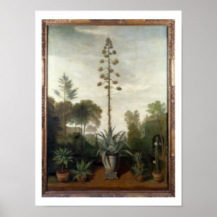 T33047 A Botanischer Garten Poster