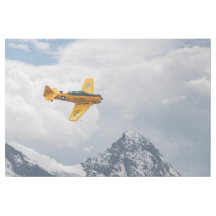 T-6 Texan Majestic Flight