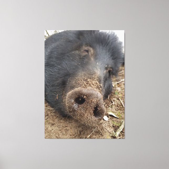 T. LEINWANDDRUCK (Vorderseite)