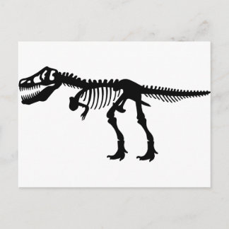 T Rex Dinosaur Skeleton Postkarte
