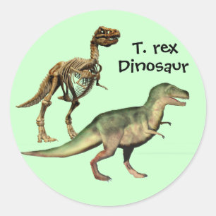 T. rex Dinosaurieraufkleber Runder Aufkleber