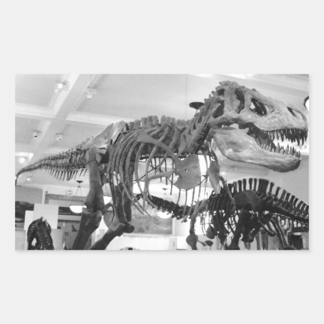 T-Rex Skelettstift Rechteckiger Aufkleber (Vorderseite)