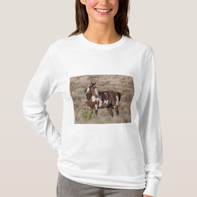  T-Shirt (Vorderseite)