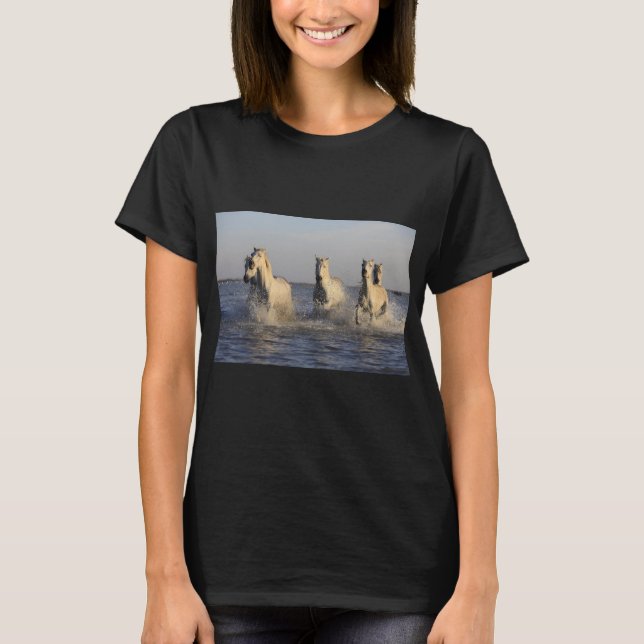T - Shirt (Vorderseite)