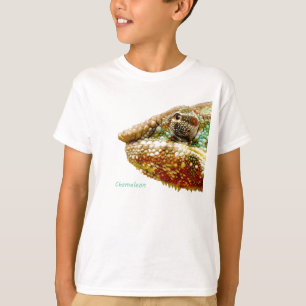 T - Shirt