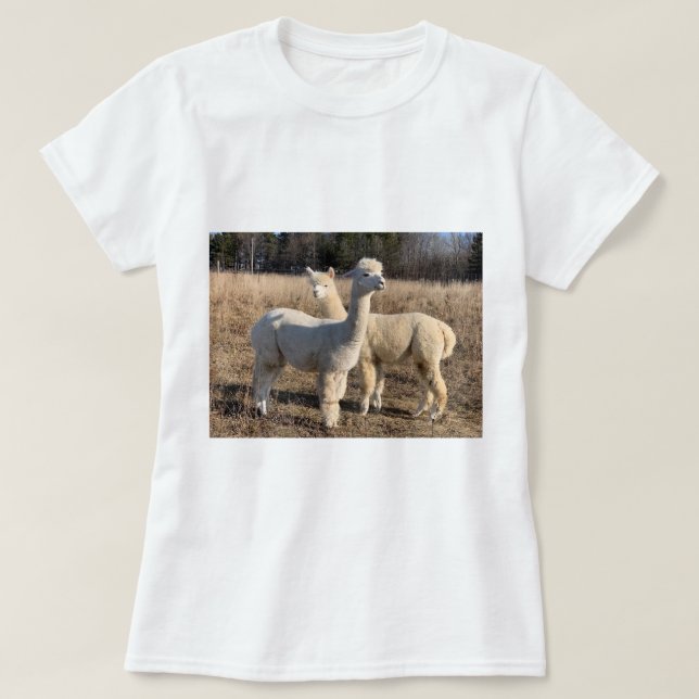 T - Shirt - Alpacas Abby & Bailey (Design vorne)
