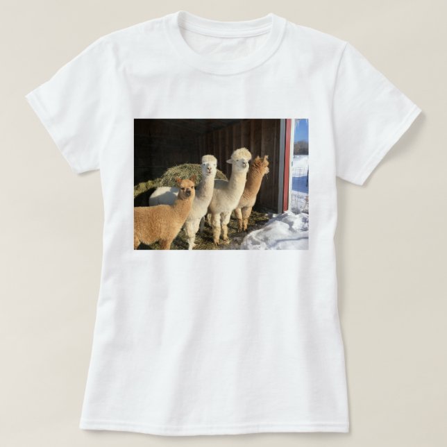 T - Shirt - Alpacas im Winter (Design vorne)