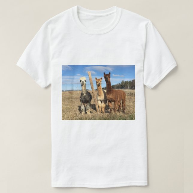 T - Shirt - Alpacas Phaethon, Barley & Marvin (Design vorne)