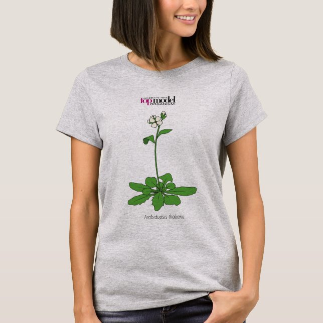 T - Shirt Arabidopsis thaliana (Vorderseite)