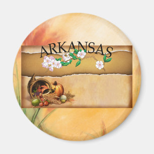 T-SHIRT Arkansas Magnete