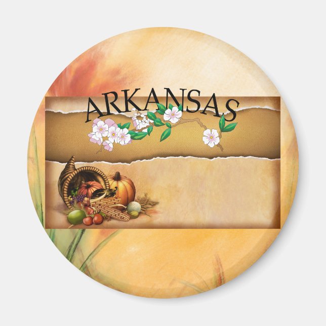 T-SHIRT Arkansas Magnete (Vorne)