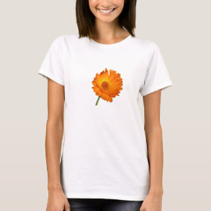 T - Shirt - Calendula am Kurzen Stech