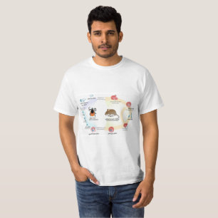 T - Shirt-Diagramm Babesia microti Lebenszyklus T-Shirt