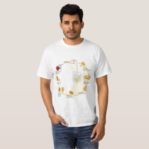T - Shirt Diagramm Giardia Life Cycle Parasit