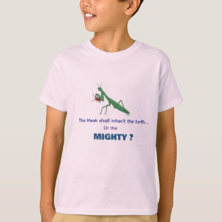 T-Shirt - Die Sanftmütigen oder die Mächtigen?