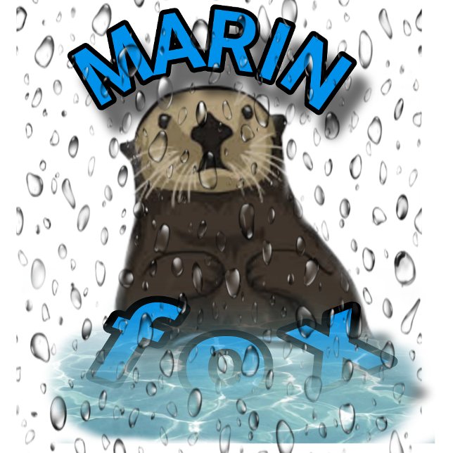 T-shirt FREEDOM ✊🏻 (Von Creator hochgeladen)