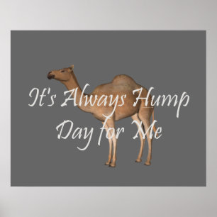 T-SHIRT Hump Day Poster