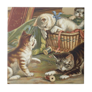 T-SHIRT neugierige Katze Fliese