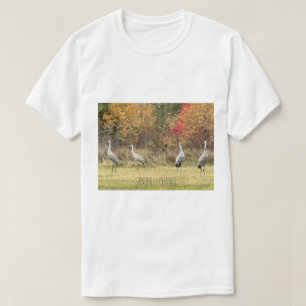 T - Shirt - Sandhill Cranes