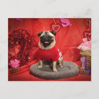 T-Shirts und Geschenke für das Foto Sid oder Dandy Feiertagspostkarte