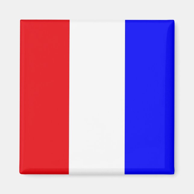 "T" (Tango) Signalflagge Magnet (Vorne)
