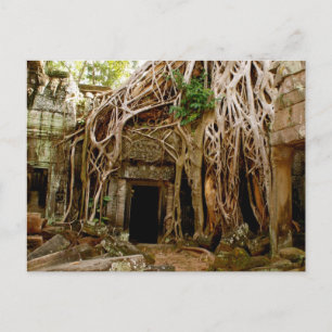 Ta Prohm Postkarte