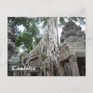 ta prohm postkarte