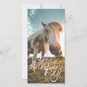 TA Valentinstag mit dampfendem Pferd