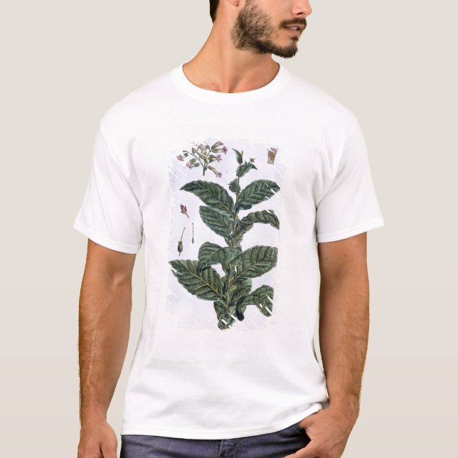 Tabak-Pflanze, Platte 7, 'von der Sammlung T-Shirt (Vorderseite)